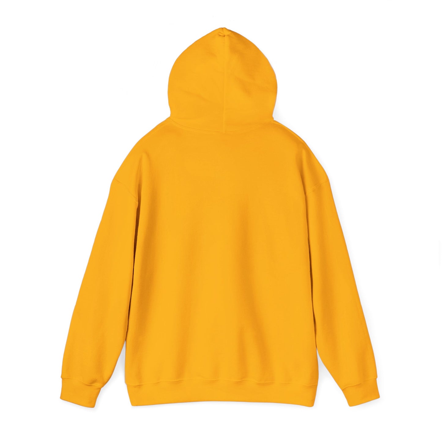 rise hoodie