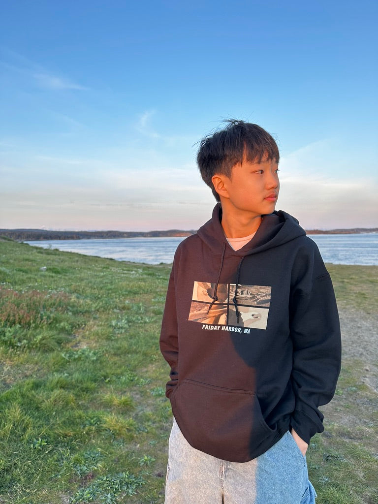 FH Eagle and Driftwood - Adult Hoodie
