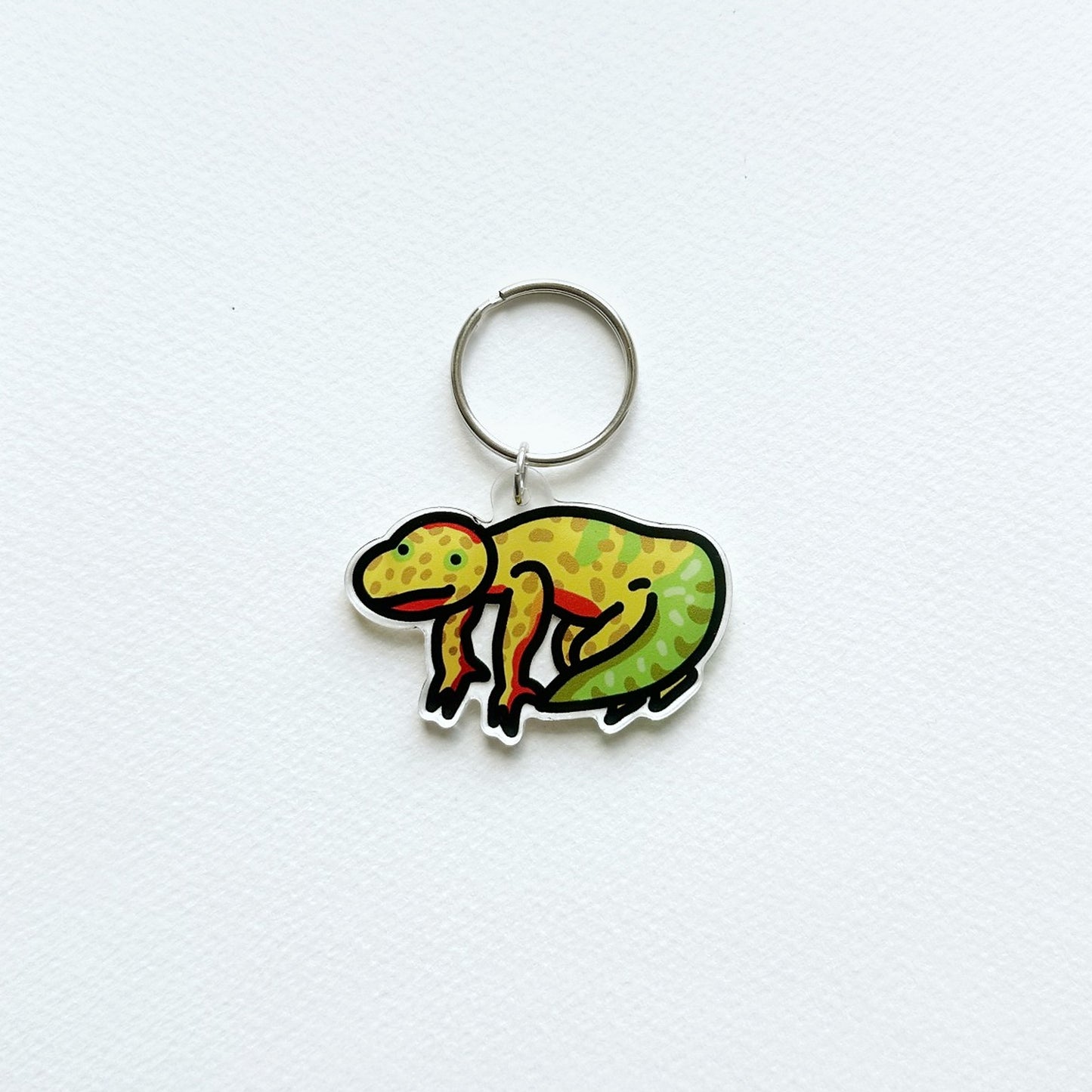 Chameleon design