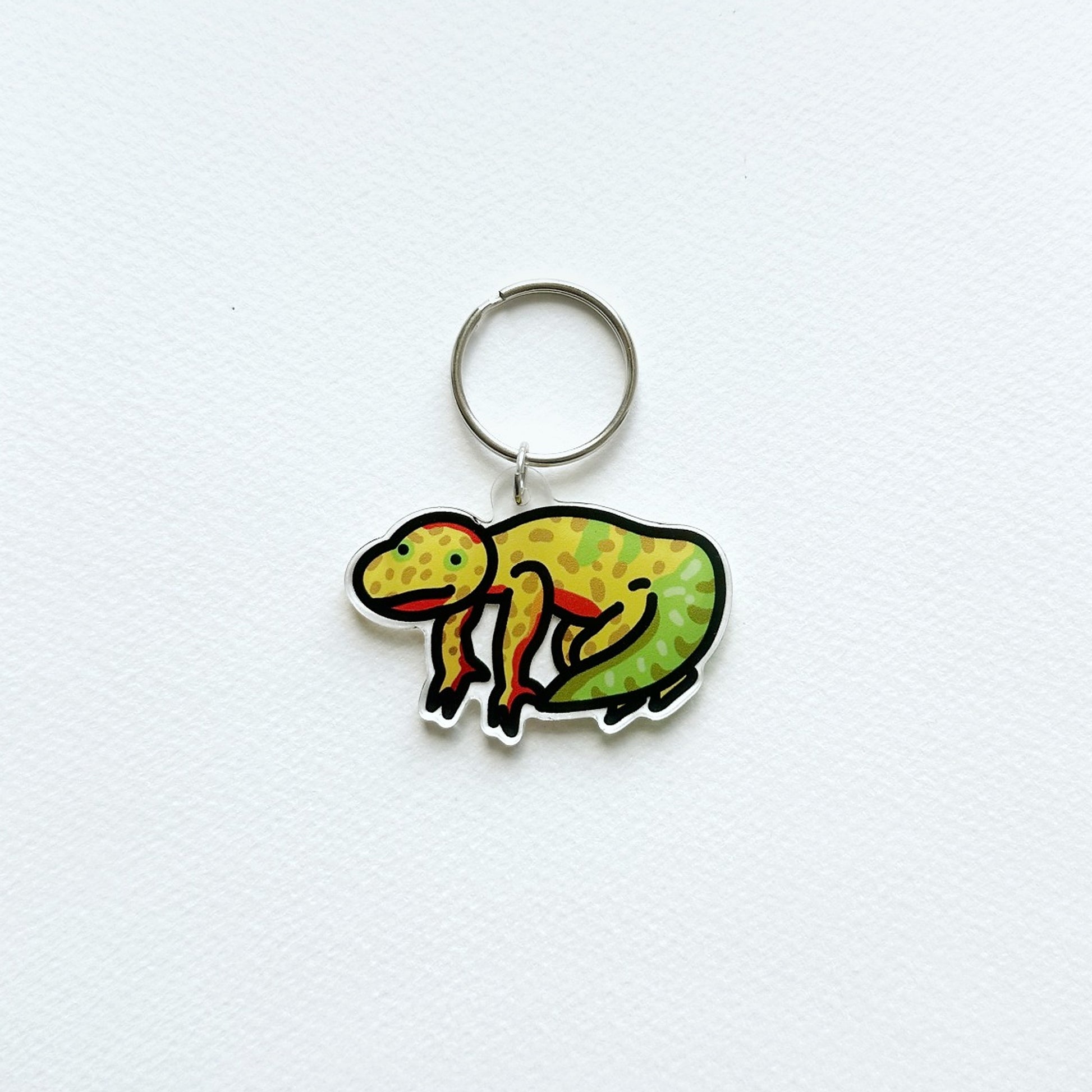 Chameleon design