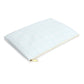 Blue Graph Pouch